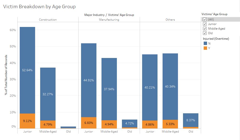 Victim by Age Group.JPG