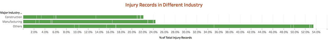 Injury Record Overview.jpg