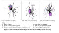 Figure2.1-Gephi Network for All IDs in Wet Land on Fri Sat Sun.png
