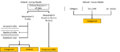 OHY DataPresentation 1.png