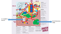 CHIA YONG JIAN Assign3 ParkMap.png