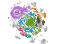 CHIA YONG JIAN Assign3 Task2 Obs indegree.png