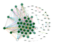 Gephi network IDsDinoSun.png