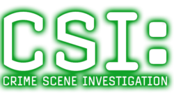 CHIA YONG JIAN Assign3 CSI Logo.png
