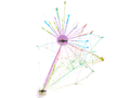 Connections when police arrive overview.jpg
