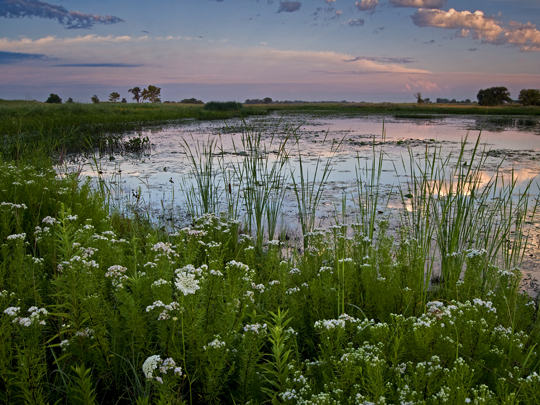 WYN Springbrook Nature Preserve5.jpg