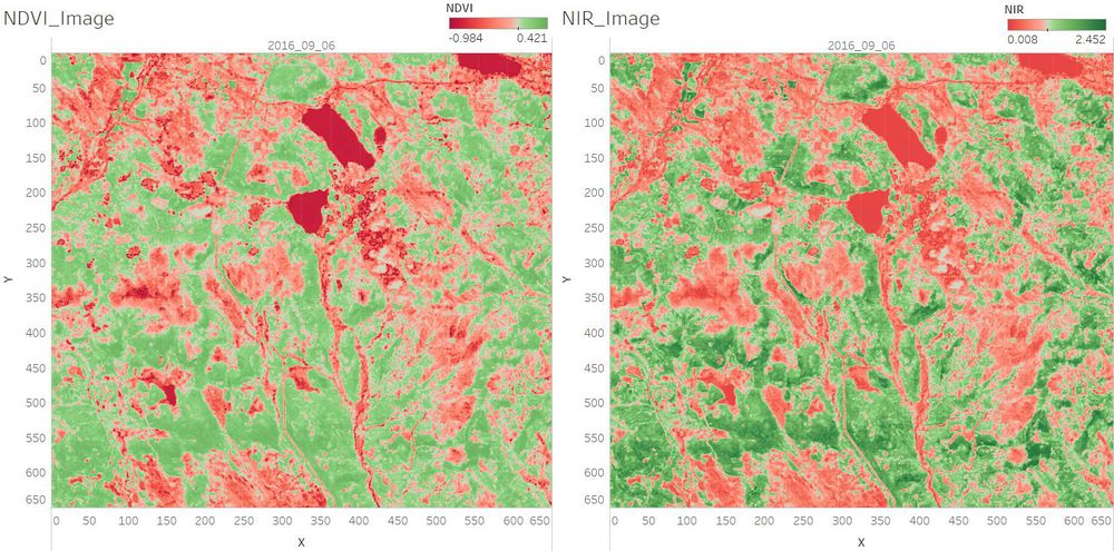 NDVI NIR.jpg