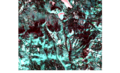Figure 9 - image12 2016 12 19 (B1, B5, B6).png