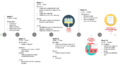 Thumbnail for version as of 17:39, 12 October 2017