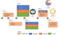 Thumbnail for version as of 22:47, 24 November 2017