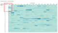 Jeremy Task1 heatmap apr.PNG