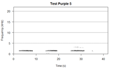 Test Purple 5.png