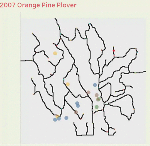 Orange Pine Plover.gif