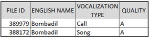 Nevil callsongtable.jpg