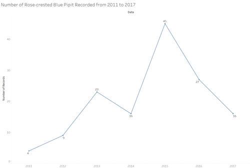 1.4. Number of Rose-Crested Blue Pipit Recorded from 2011 to 2017.png