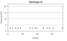 Test Purple 10.png
