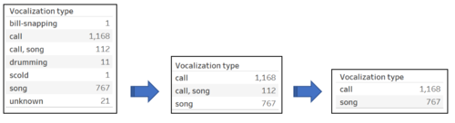 2.1 Vocal type.png