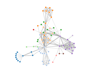 Force Directed Network Graph