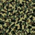 Thumbnail for version as of 10:51, 8 July 2018