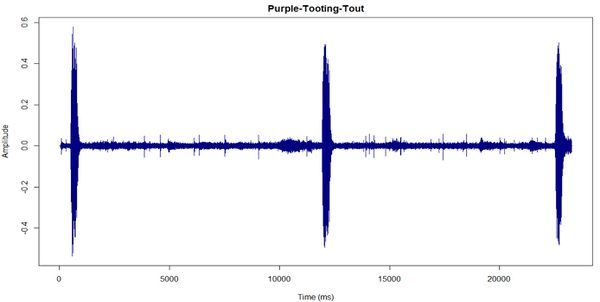 Nevil Purple-Tooting-Tout.JPG