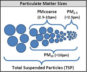 Various PM Sizes