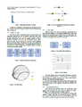 ResearchPaper3.png