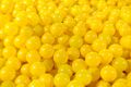 Yellow.jpg