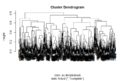 Cluster Dendogram.png