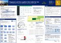 DataViz Poster com.jpg