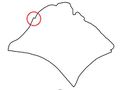 Pln area 14 punggol.jpg