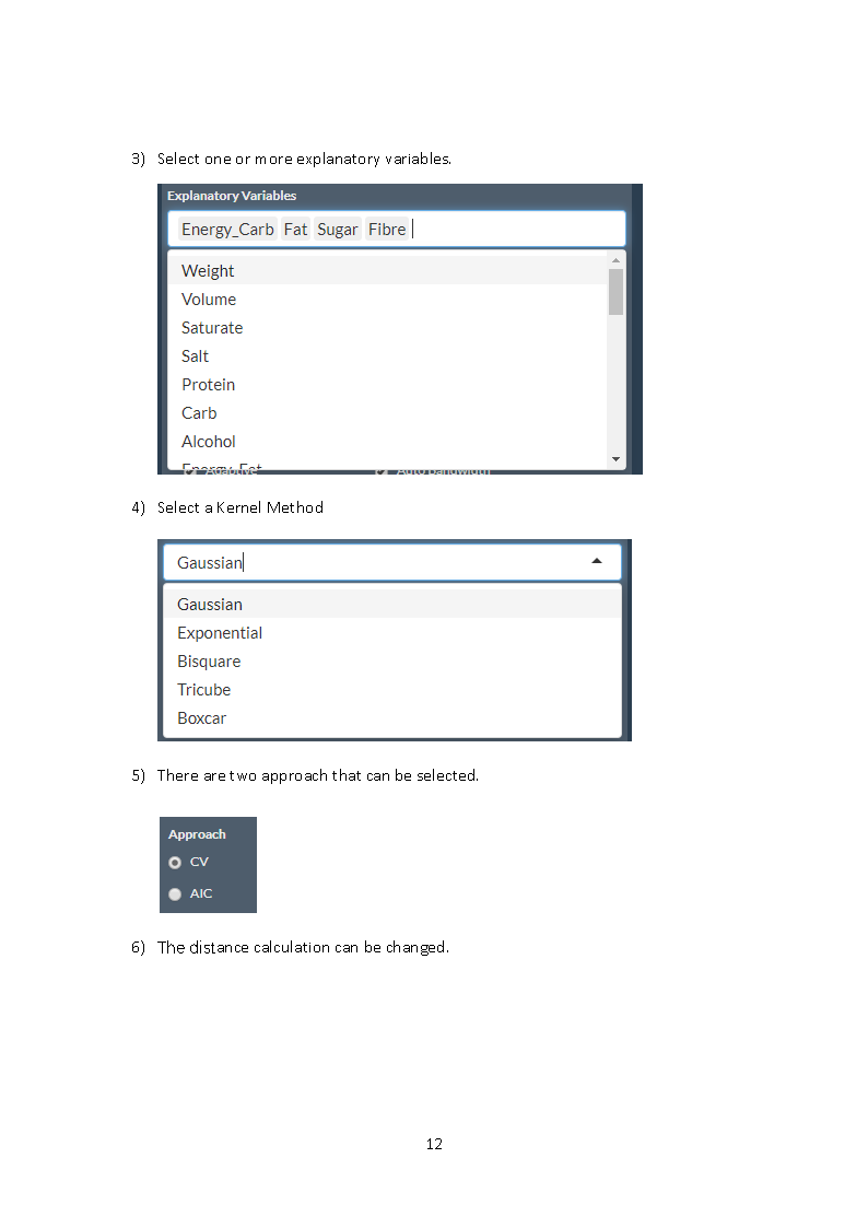 ISSS608G11 User Guide Page 12.png