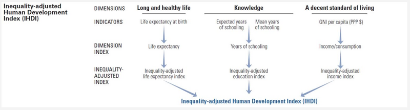 Human inequality.png