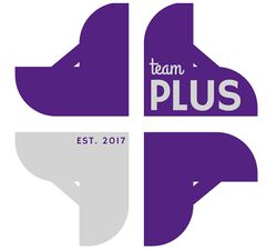 Team Plus Logo.jpg