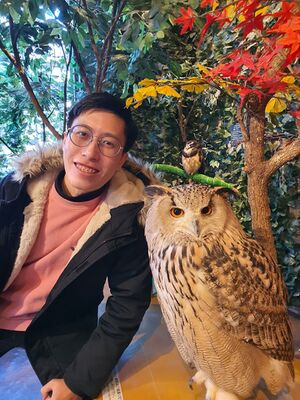 Japan Owl Cafe!.jpg