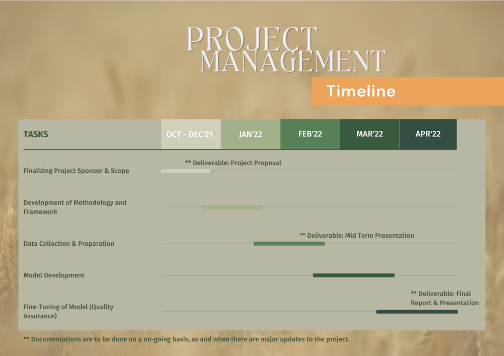 Team FSX - Project Mgmt (timeline).png