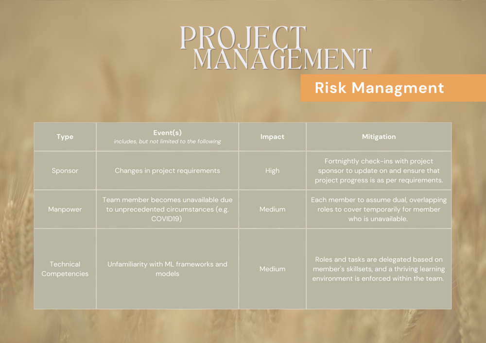 Team FSX - Project Mgmt (risk).png